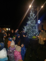 Fotografie strom1_original.jpg